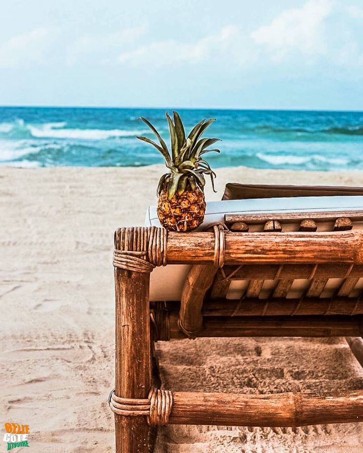 Pack Taloua & Bagnon